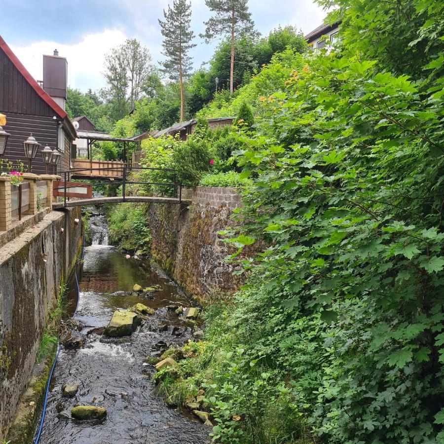 Harz Im Herzen 阿尔特瑙 外观 照片
