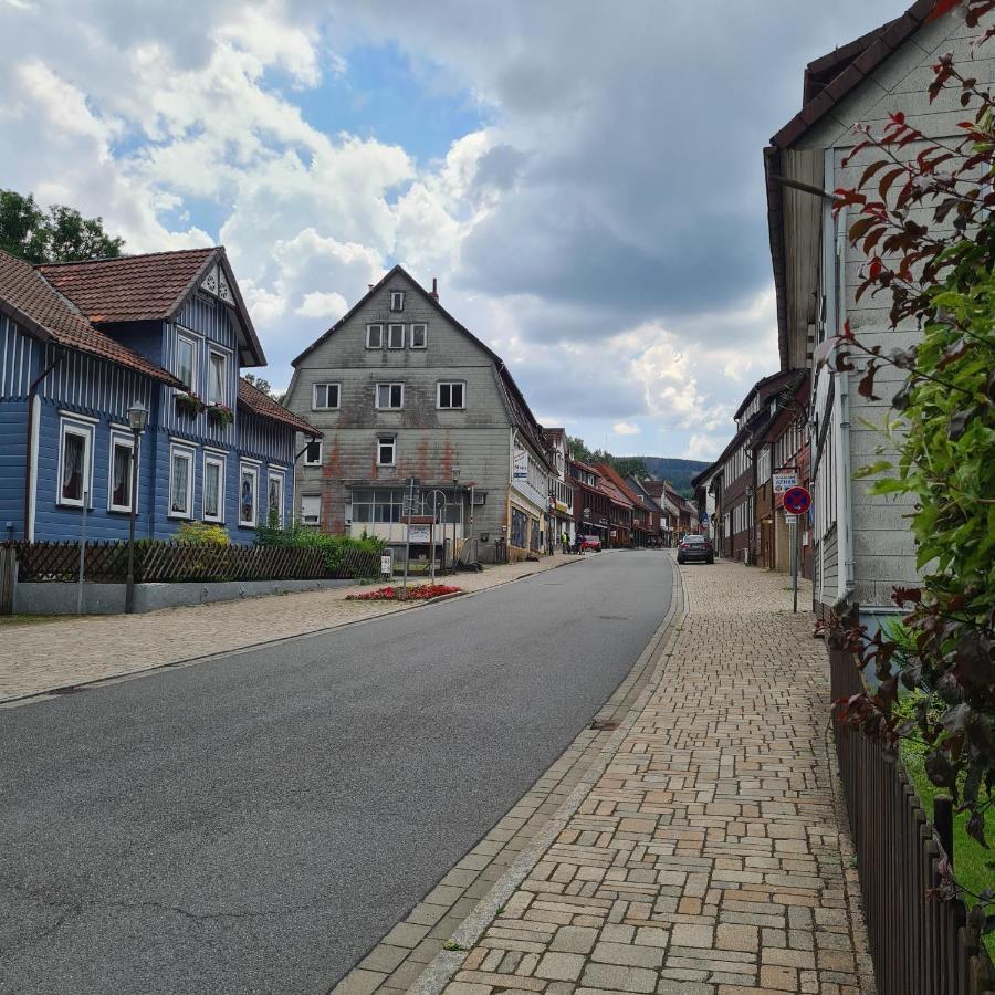 Harz Im Herzen 阿尔特瑙 外观 照片