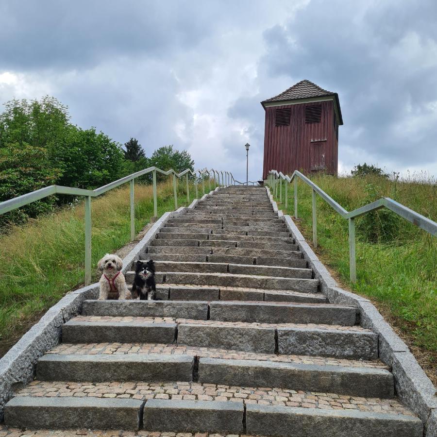 Harz Im Herzen 阿尔特瑙 外观 照片